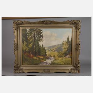 Friedrich Schick, Im Vogtland