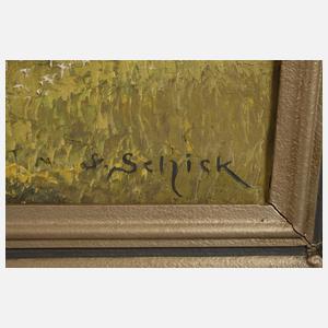 Friedrich Schick, Im Vogtland