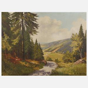 Friedrich Schick, Im Vogtland