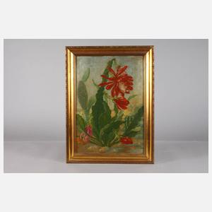 Enno Schilling-Rest, Kakteenstillleben