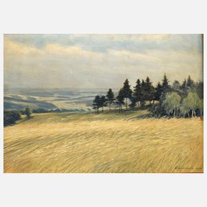 Albin Schlehahn, Vogtländische Sommerlandschaft