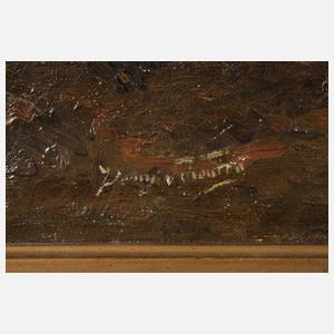 Langhaarziegen in Weidelandschaft