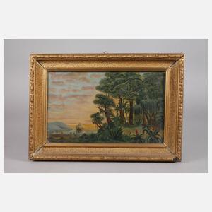 Paar tropische Landschaften