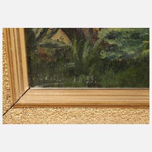 Paar tropische Landschaften