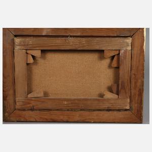 Paar tropische Landschaften