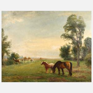 Carl Weisgerber, Haflinger auf der Koppel