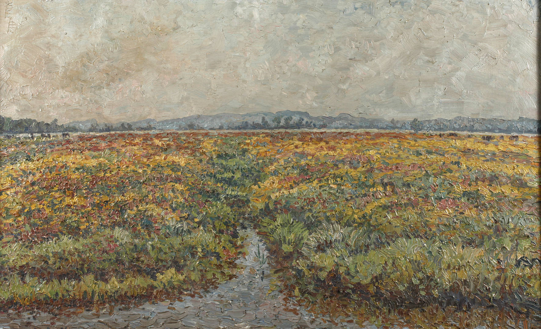 Weite Sommerlandschaft