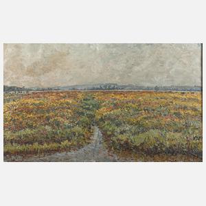 Weite Sommerlandschaft