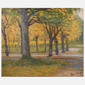 Dick Beer, Herbstliche Allee