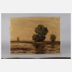 R. v. Scheiber, Moorlandschaft