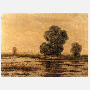 R. v. Scheiber, Moorlandschaft