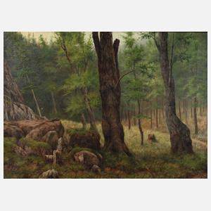 ”Kiesslerstein bei Oelze im Thüringerwald”