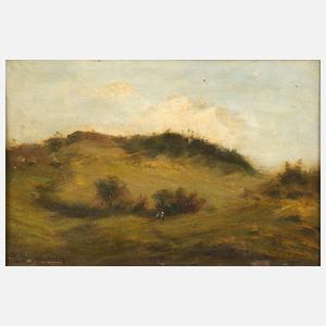 O. Baumann, Bewegte Sommerlandschaft