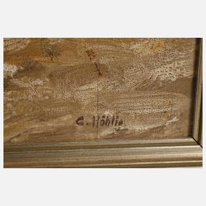 Georg Höhlig, Fluss in alpiner Landschaft