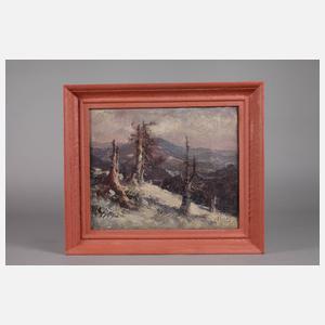 Winterliche Gebirgslandschaft