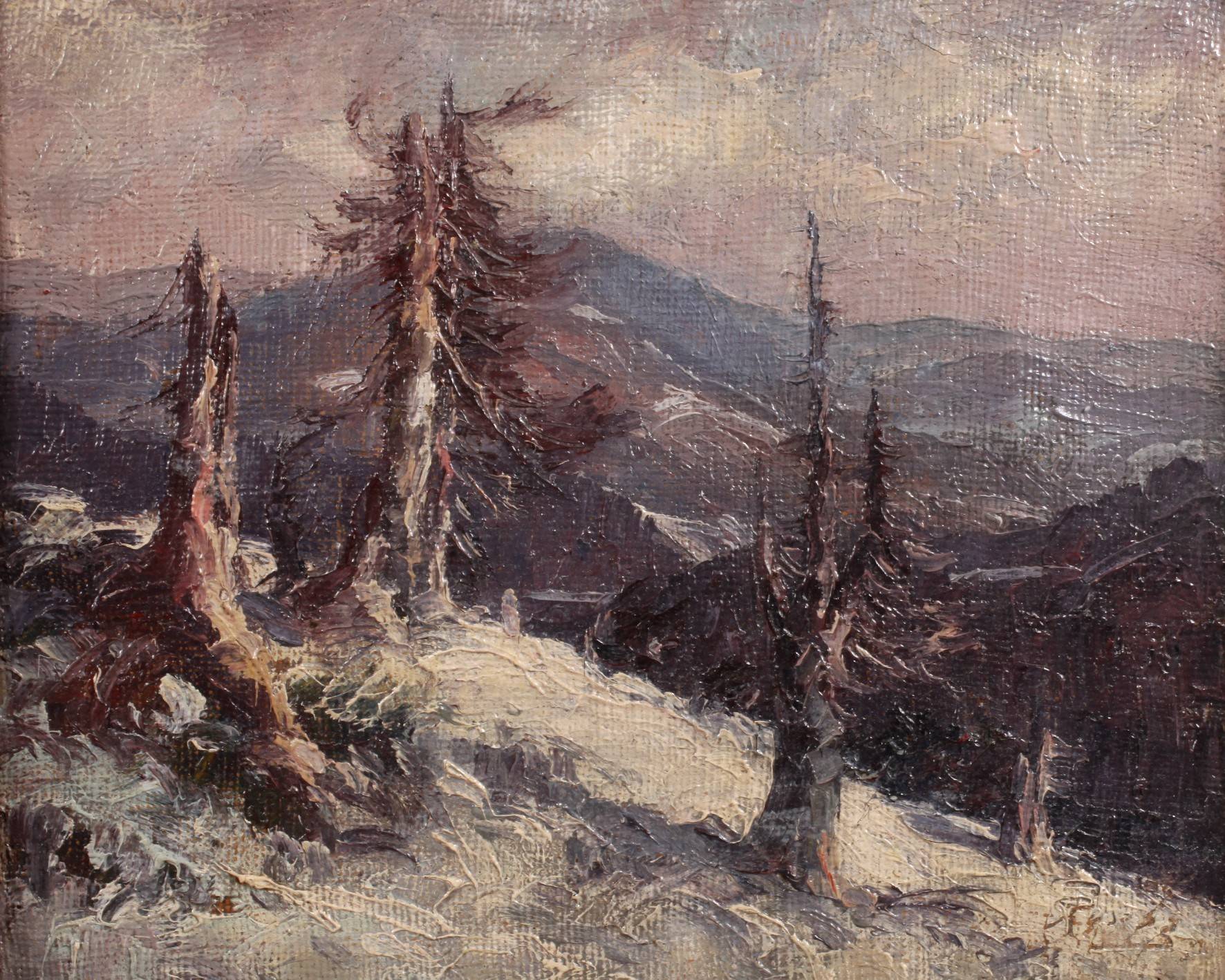 Winterliche Gebirgslandschaft