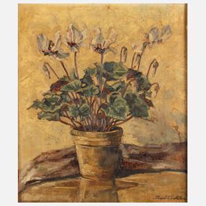 Paul Dahlen, Alpenveilchenstillleben