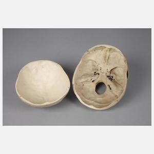 Medizinisches Lehrmodell