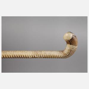 Spazierstock Schlangenhaut