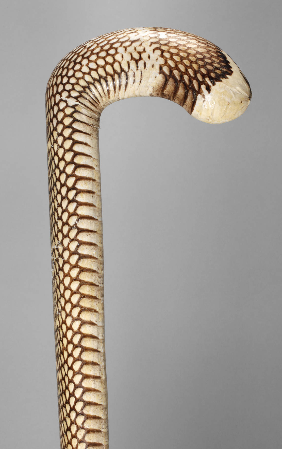 Spazierstock Schlangenhaut