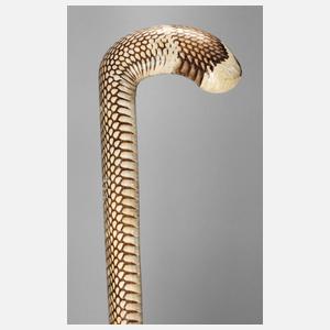 Spazierstock Schlangenhaut