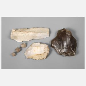 Konvolut Fossilien und Mineralien