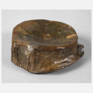 Prähistorisches Fossil