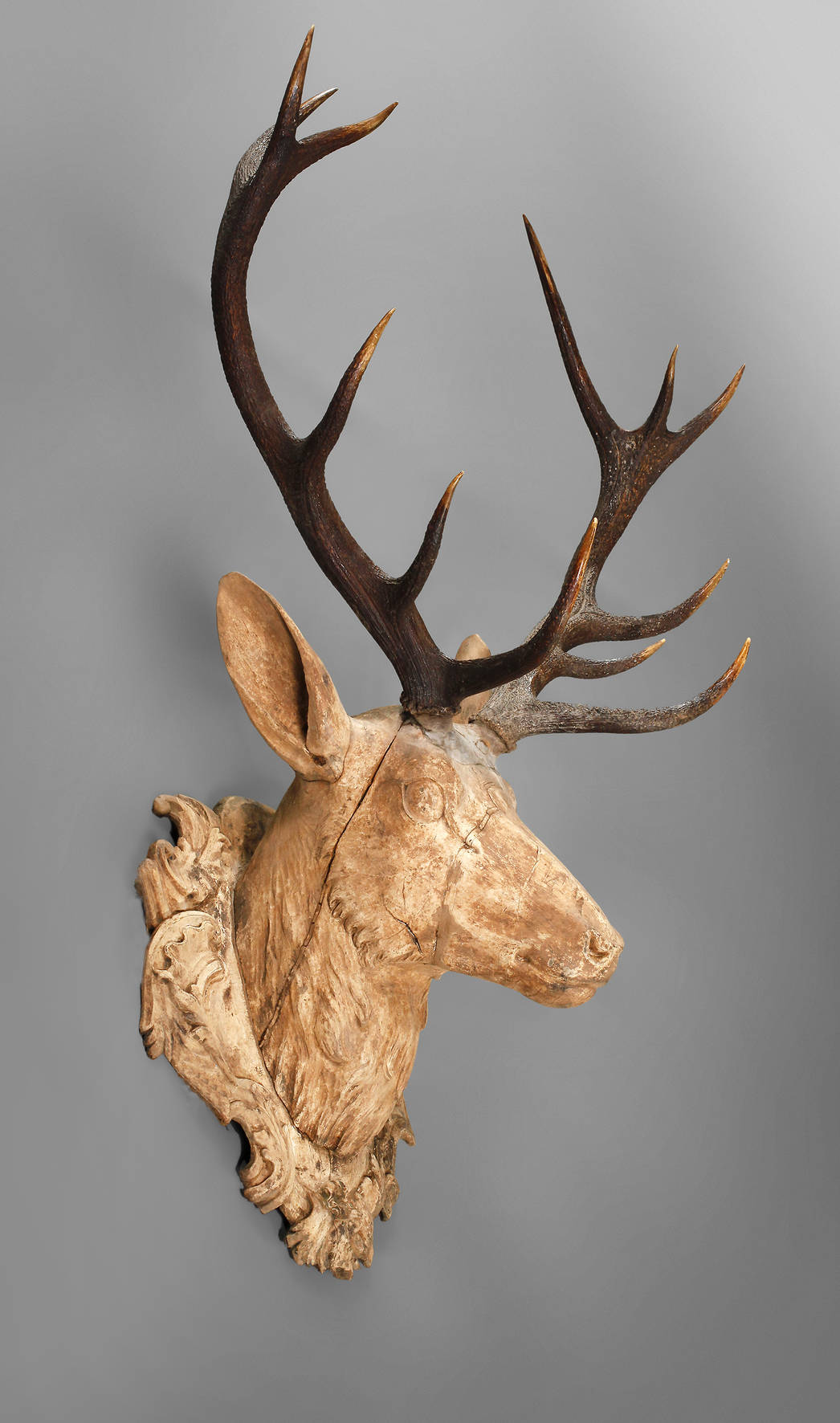 Kapitaler Hirschkopf