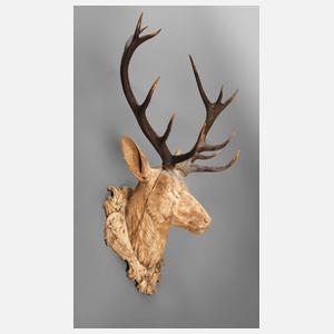 Kapitaler Hirschkopf