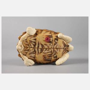 Schildkröte Elfenbein