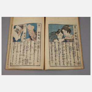 Shunga Buch