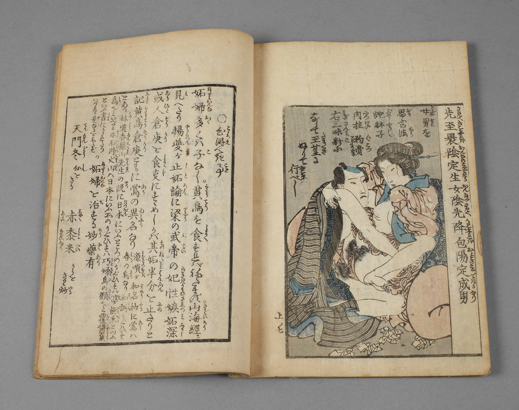 Shunga Buch
