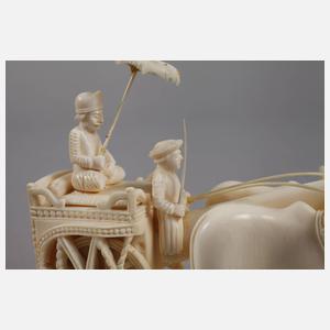 Ochsengespann Elfenbein