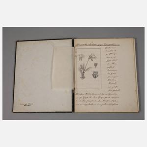 Botanische Abschrift