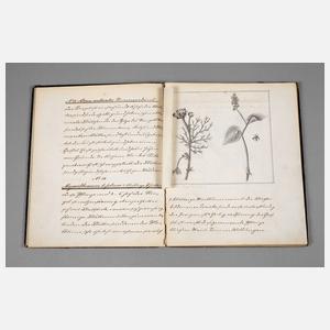 Botanische Abschrift