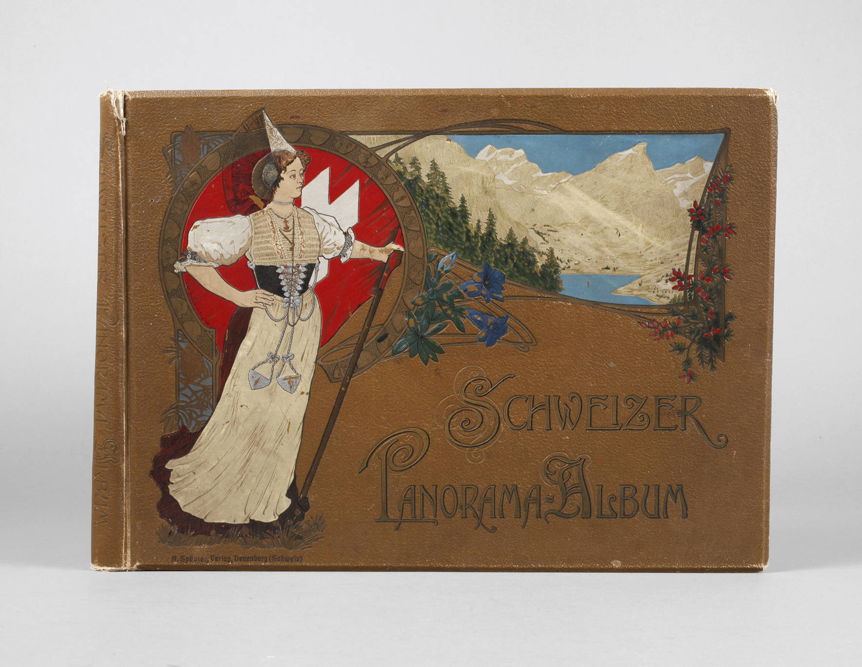 Schweizer Panorama-Album