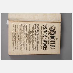 Hattsteins Verzeichnis des Reichsadels 1729–40