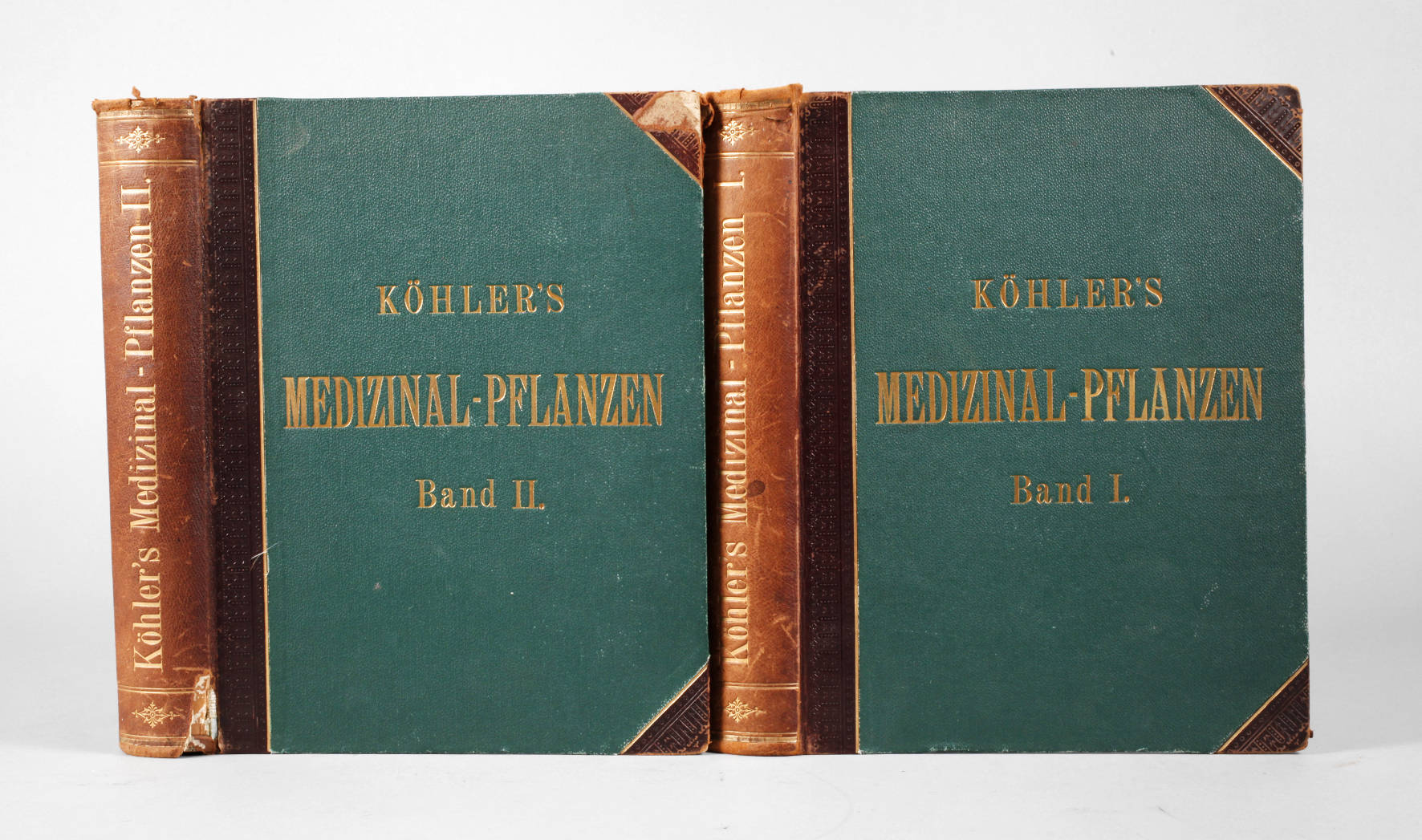 Köhlers Medizinal-Pflanzen