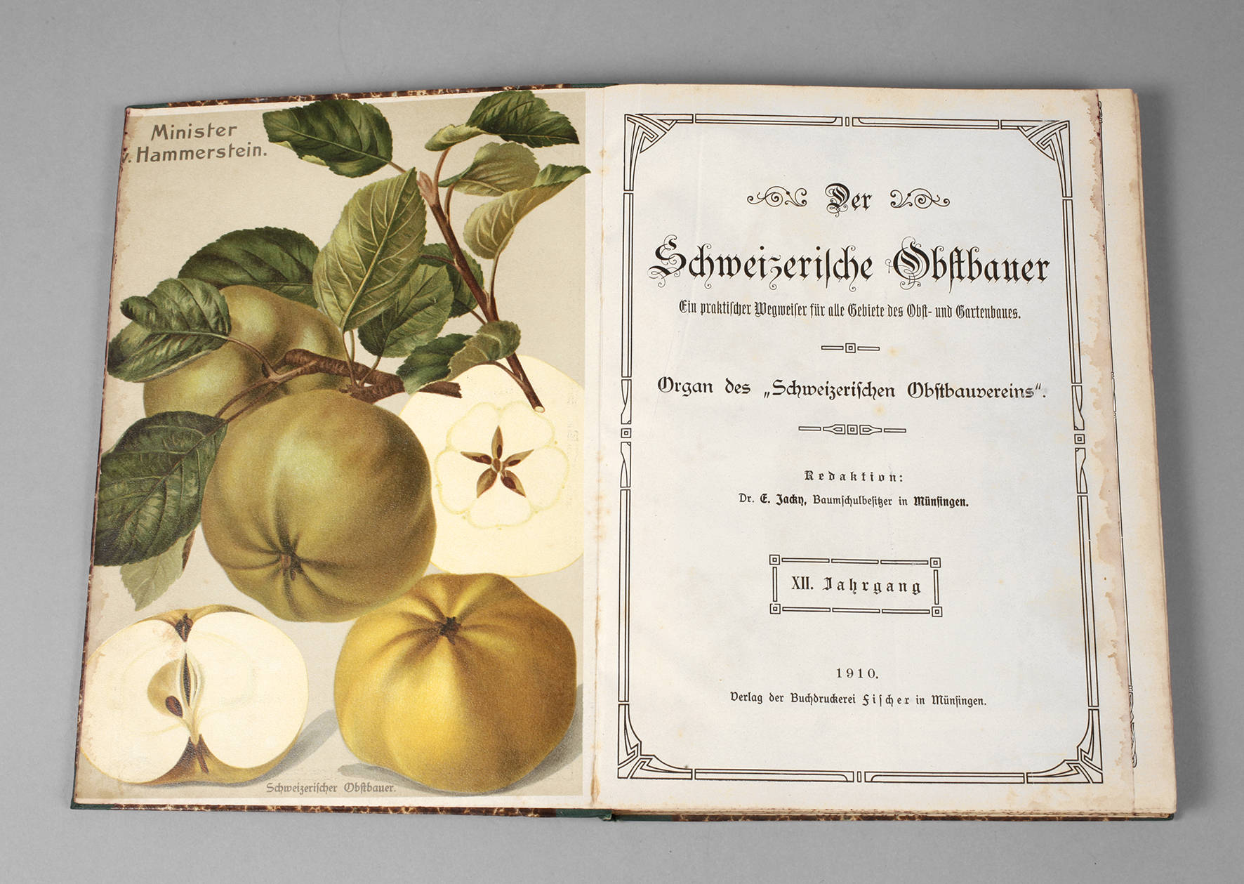 Der Schweizerische Obstbauer 1910