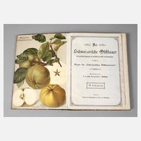 Der Schweizerische Obstbauer 1910111