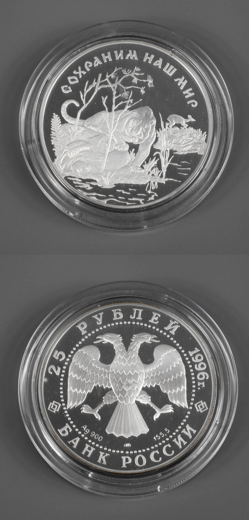 Silbermünze Russland