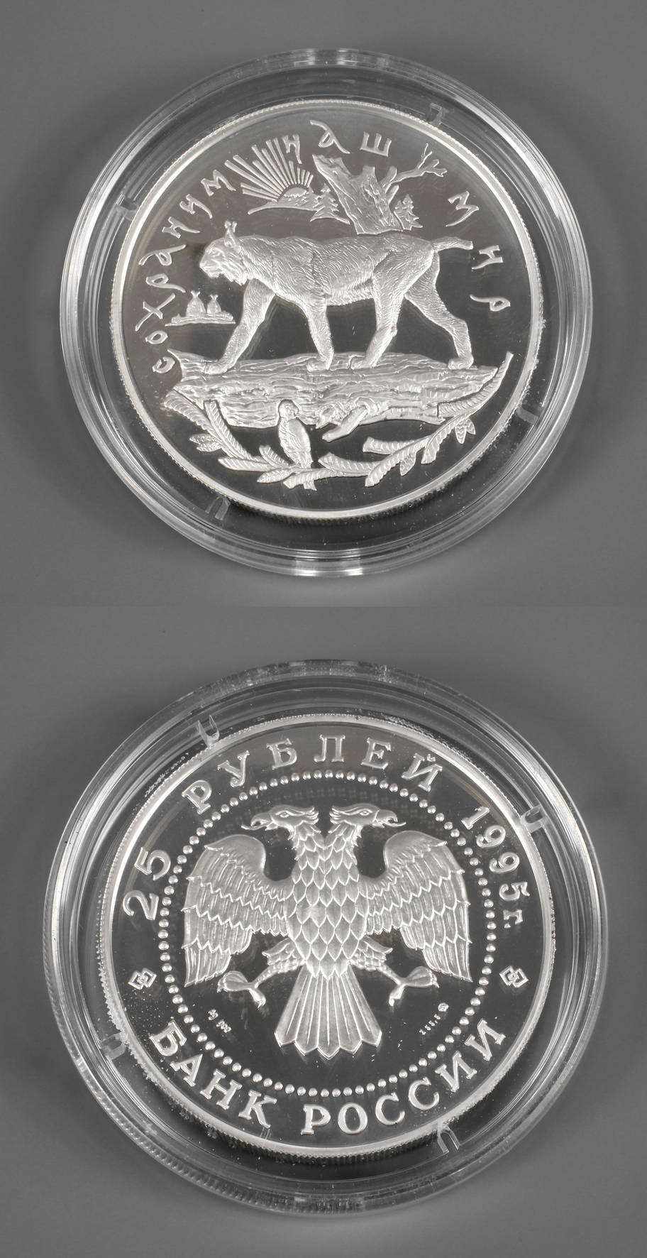Silbermünze Russland