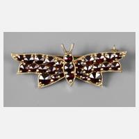 Granatbrosche als Schmetterling111