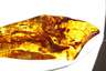 Geschliffener Bernstein