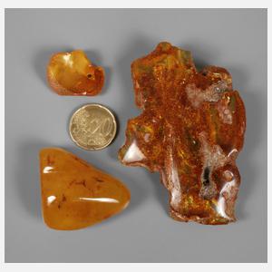 Konvolut Bernstein und Kopal