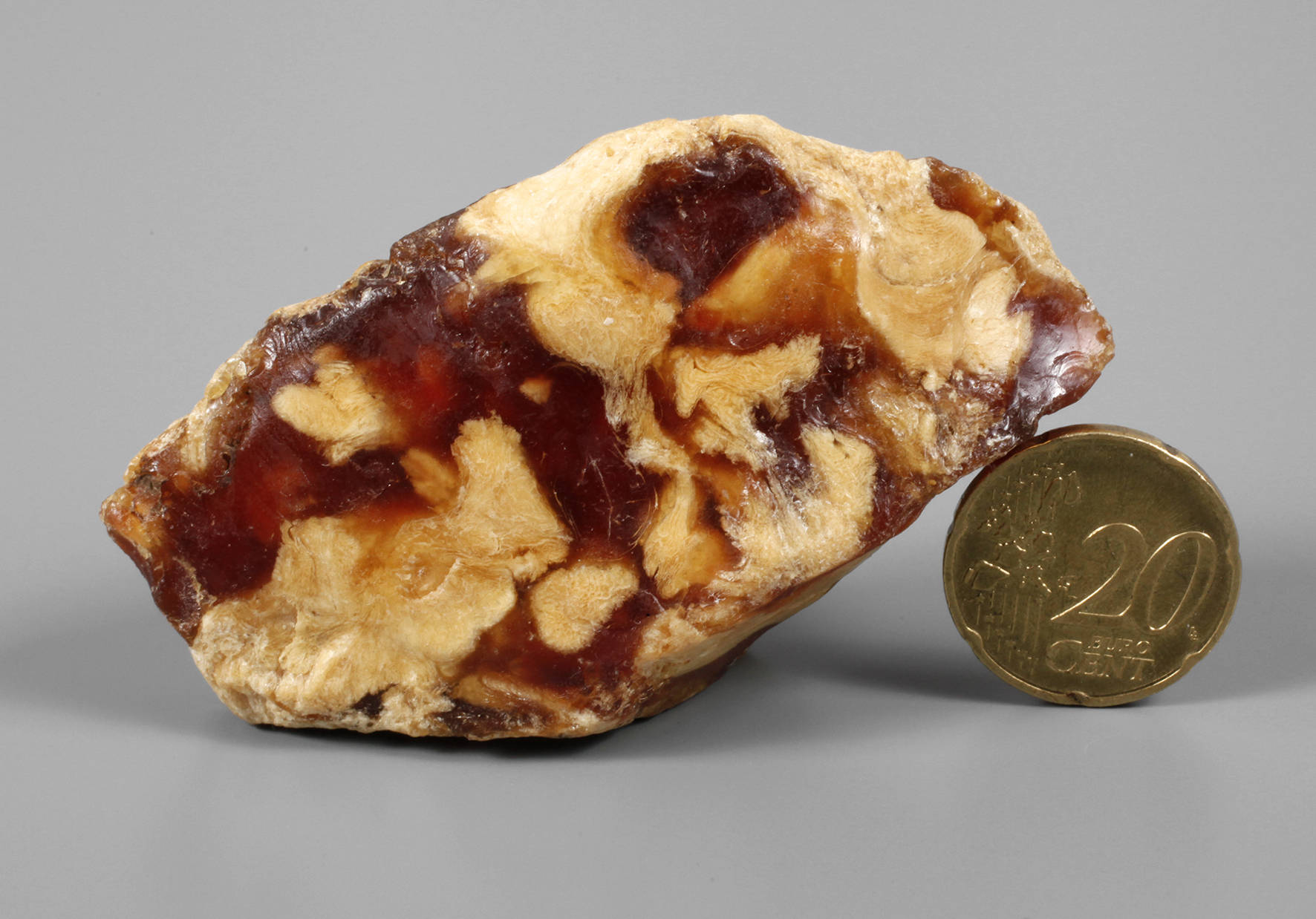 Rohbernstein wohl Bitterfeld