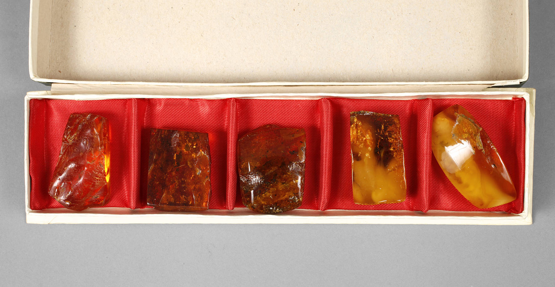 Fünf Bernsteine im Etui