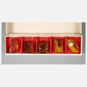 Fünf Bernsteine im Etui