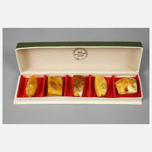 Fünf Bernsteine im Etui