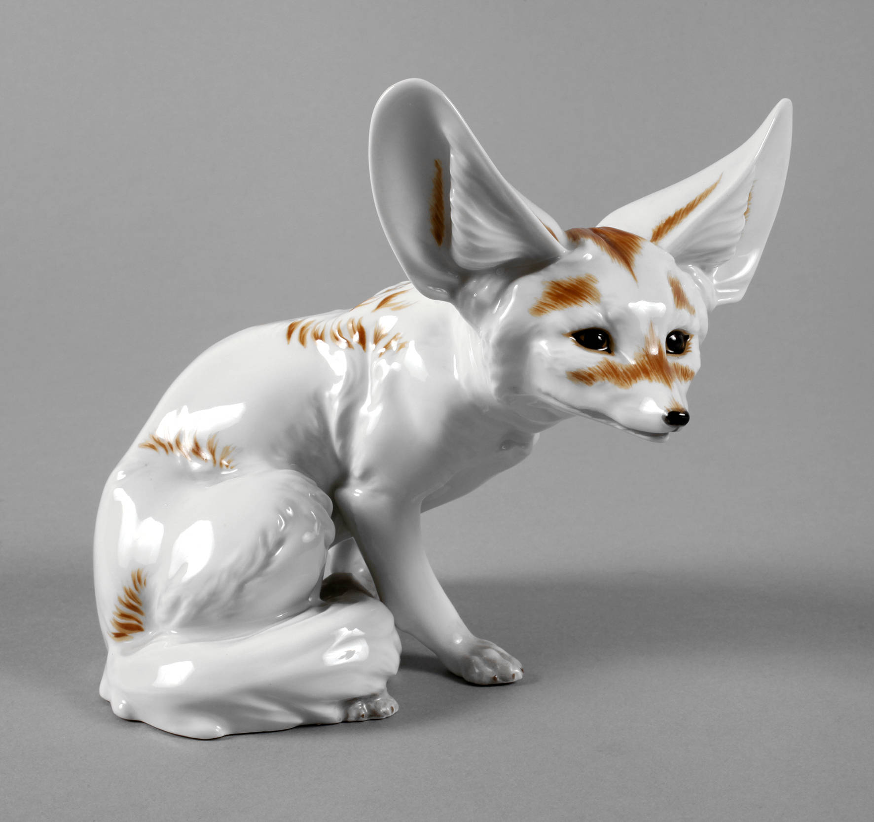 Augarten Wien Wüstenfuchs